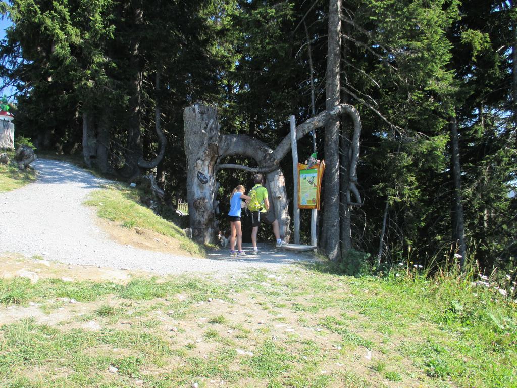 Haus Voithofer Apartment Sankt Johann im Pongau Bagian luar foto